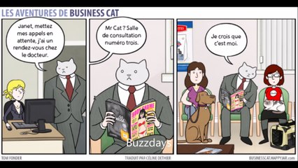 Et si votre patron était un chat ?