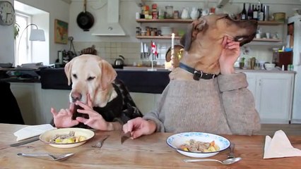TWO DOGS DINING