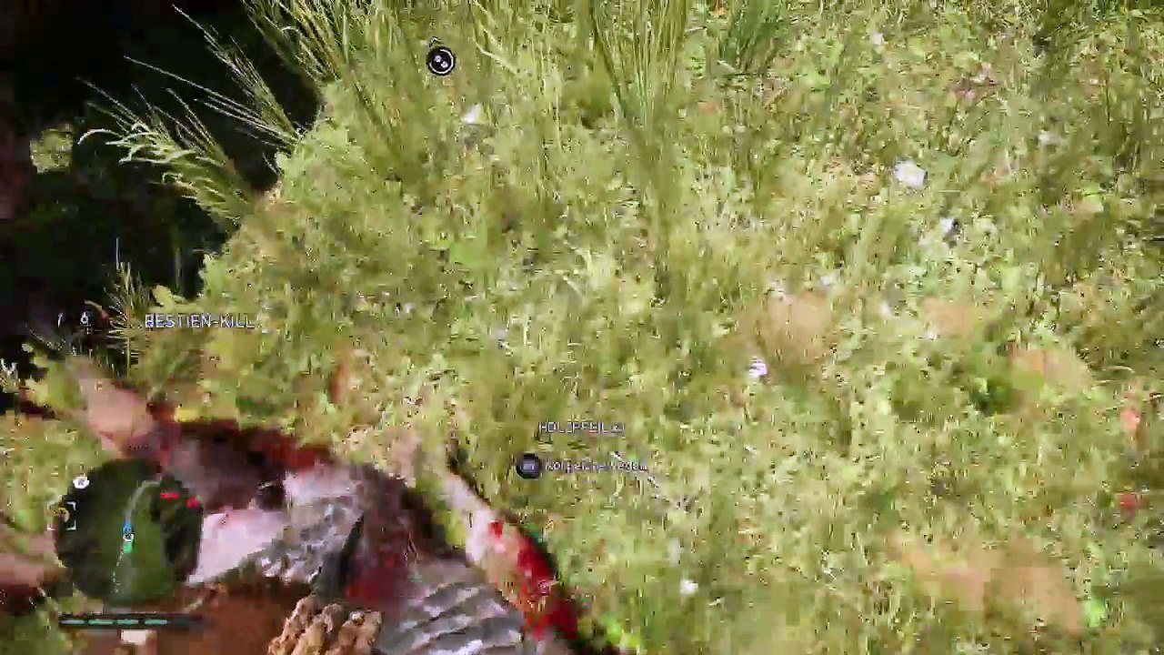 PS4-Live-Übertragung von Mogli1980