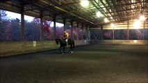 Mark Russell Natural Dressage TB at clinic