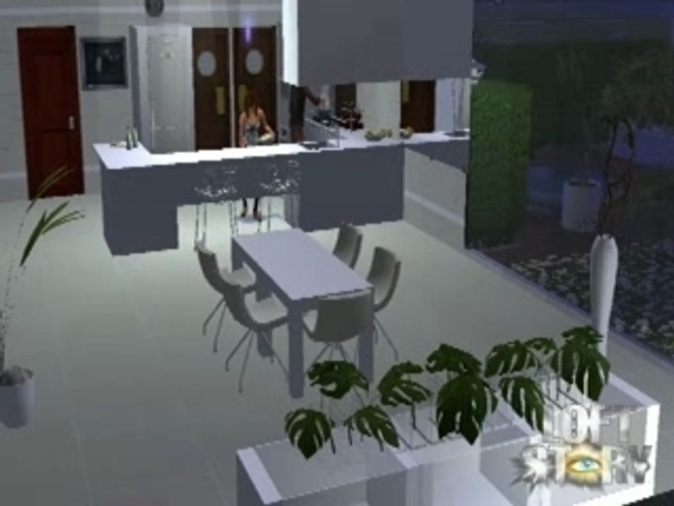 Quotidienne Loft Sims Story 2