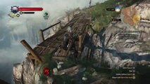 The Witcher 3: Wild Hunt - Funny Bug