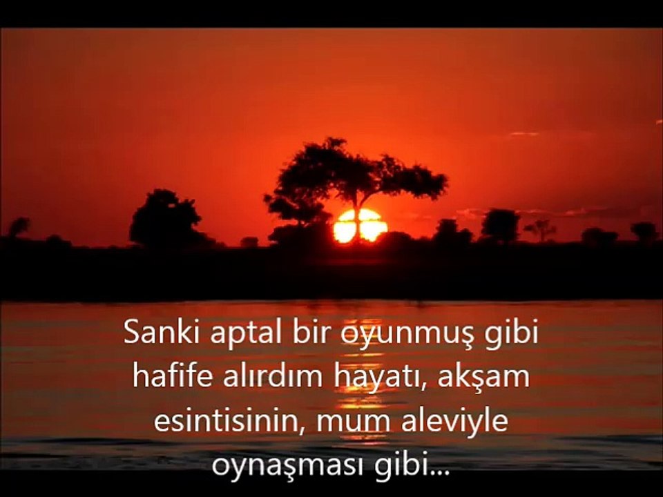 Shirley Bassey Yesterday When I Was Young türkçe alt yazılı