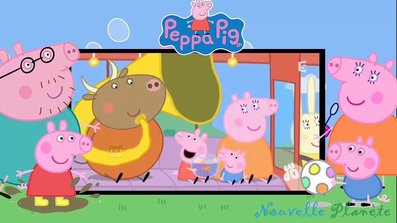 PEPPA PIG COCHON En Français Peppa Episodes Goldie le poisson rouge
