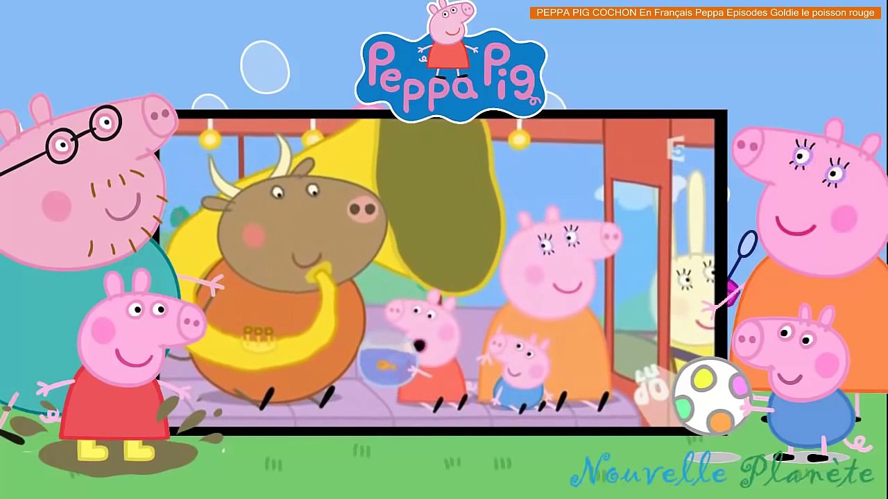 PEPPA PIG COCHON En Français Peppa Episodes Goldie le poisson rouge