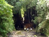 Cascata das Andorinhas - Rolante/RS