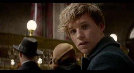 Fantastic Beasts and Where to Find Them - Official Teaser Movie Trailer #2 -  Ezra Miller, Eddie Redmayne, Colin Farrell