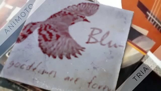 Blu-J AVANTHI Vizag VUDA Plots at Dakamarri