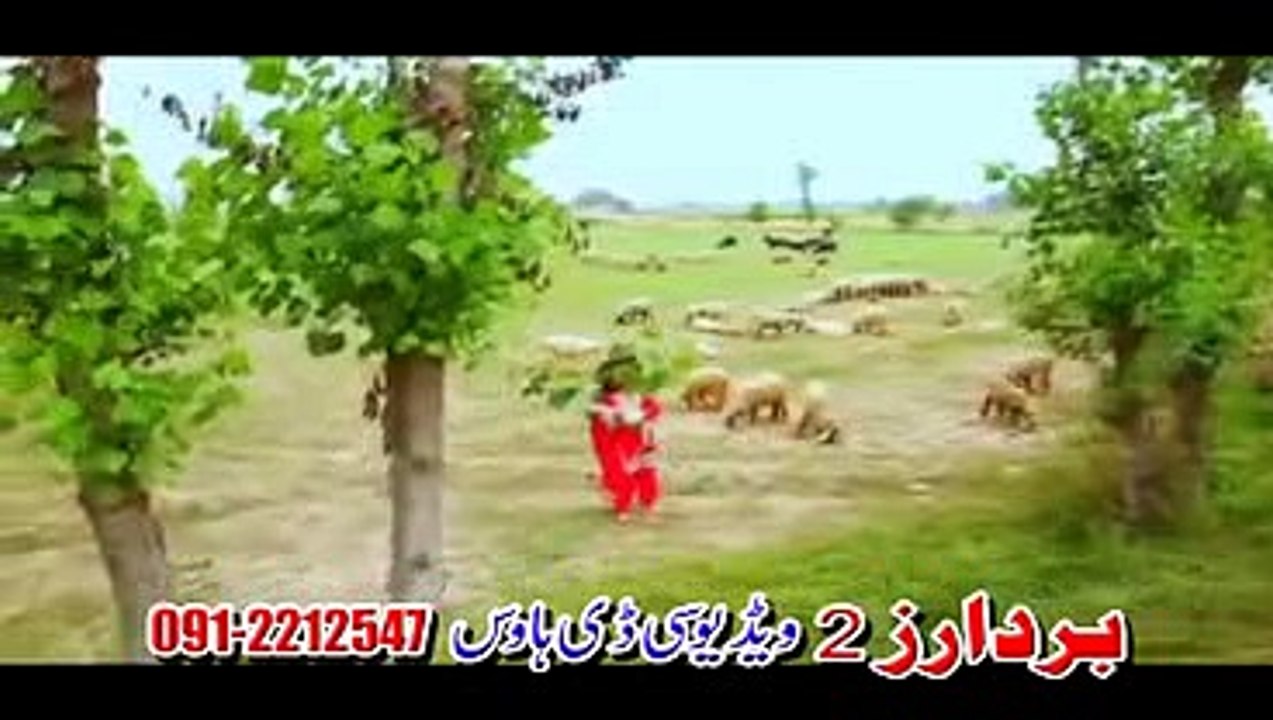 Nadia_Gul__2C_Dilraj_-_Pashto_New_Tappy_2016