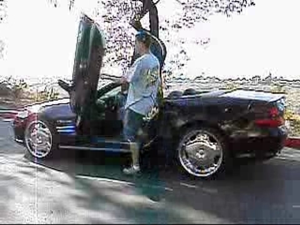 Lambo Door SL 500