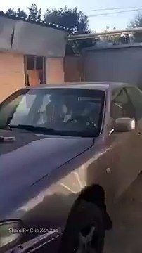 Chú mèo đáng thương nhất mọi người đại :'(