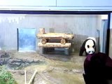 Panda!@Ueno Zoo, Tokyo