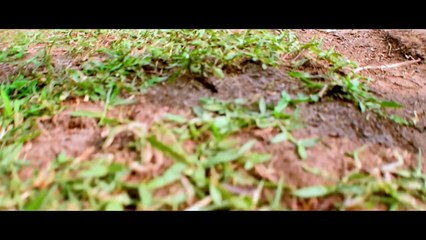 Ilayanila - A Dedication to Ilayaraja - Romantic Comedy Short Film