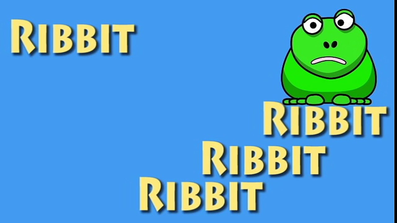 The Animal Sounds Song