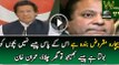 Imran Khan Badly Making Fun Of Nawaz Sharif Over Off Shore Companies Watch Video