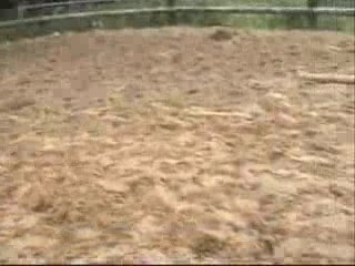 Rebel 1ere seance saut en liberte
