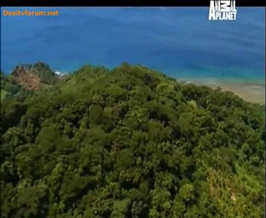 Wildest Islands 13th August 2014 Video Watch Online Pt2