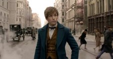 Fantastic Beasts and Where to Find Them Teaser Trailer