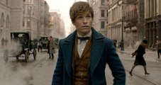 Fantastic Beasts and Where to Find Them - Official Trailer 2 (HD)