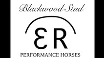 BLACKWOOD STUD PERFORMANCE HORSES