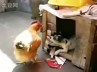 Pervertido lleva a su victima a su refugio y abusa de ella!!!