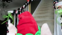 Sad Looking Dog Wears Funny Elf Hat - Funny Animals Channel