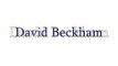 David Beckham Freekick vs Greece - Fifa 09