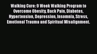 Download Walking Cure: 9 Week Walking Program to Overcome Obesity Back Pain Diabetes Hypertension