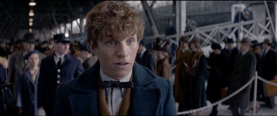 Fantastic Beasts and Where to Find Them - Official Trailer