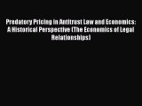 Read Predatory Pricing in Antitrust Law and Economics: A Historical Perspective (The Economics