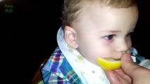 Babies Eating Lemons for the First Time Compilation 2016
