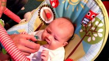 Babies Eating Pickles for the First Time Compilation 2016