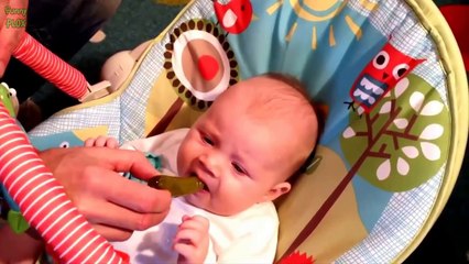 Babies Eating Pickles for the First Time Compilation 2016