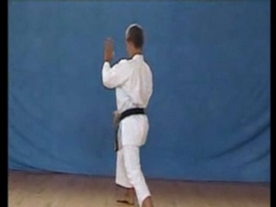 Nijushiho shotokan karate kata