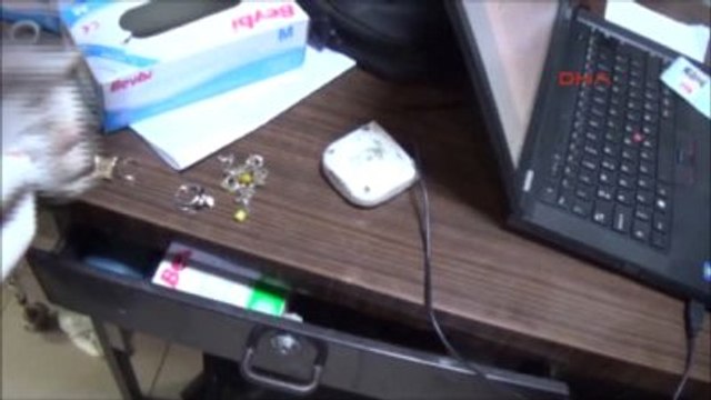 Şırnak'ta Etkisiz Hale Getirilen Teröristin Üzerinden Bunlar Çıktı