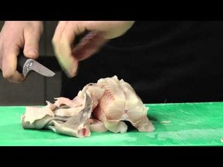 Report tv - Rreze Dielli, Gatimi Drymades 7 prill Pjesa 2