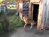 Dog closes door to avoid getting a bath