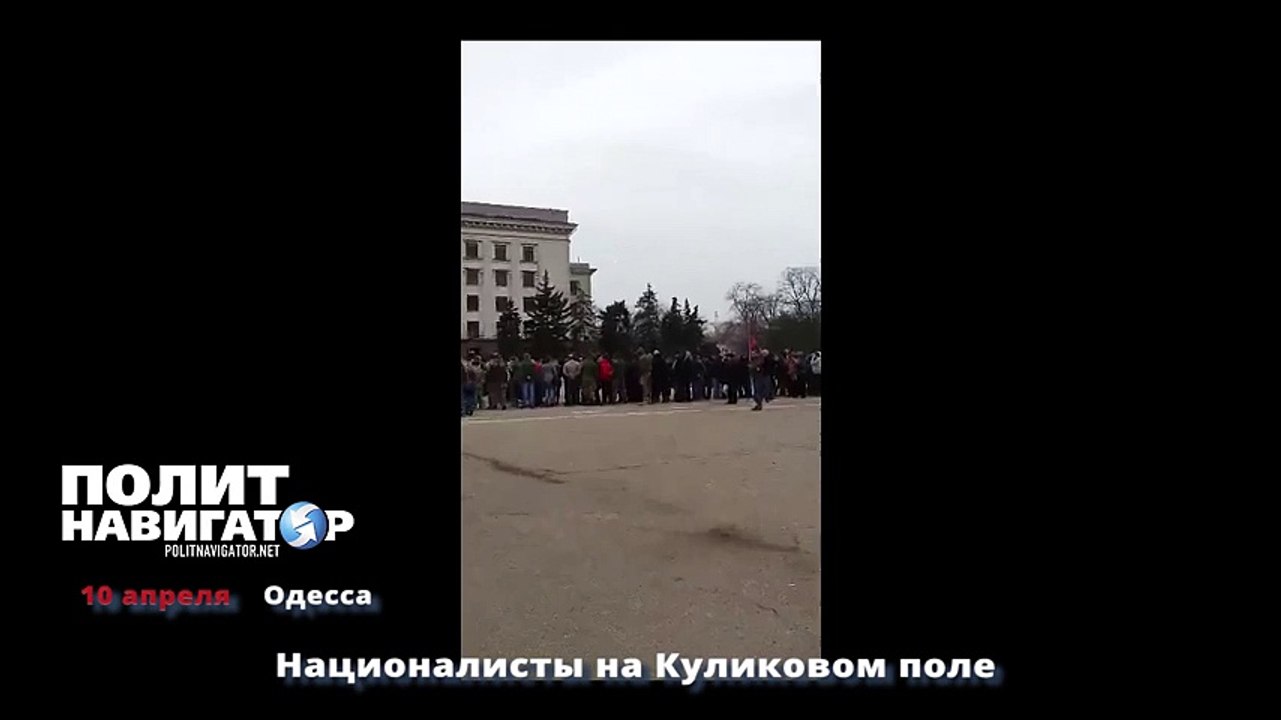 Националисты на Куликовом поле