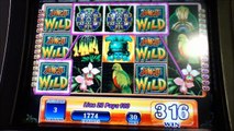 JUNGLE WILD Penny Video Slot Machine with BONUS COMPILATION Las Vegas Strip Casino