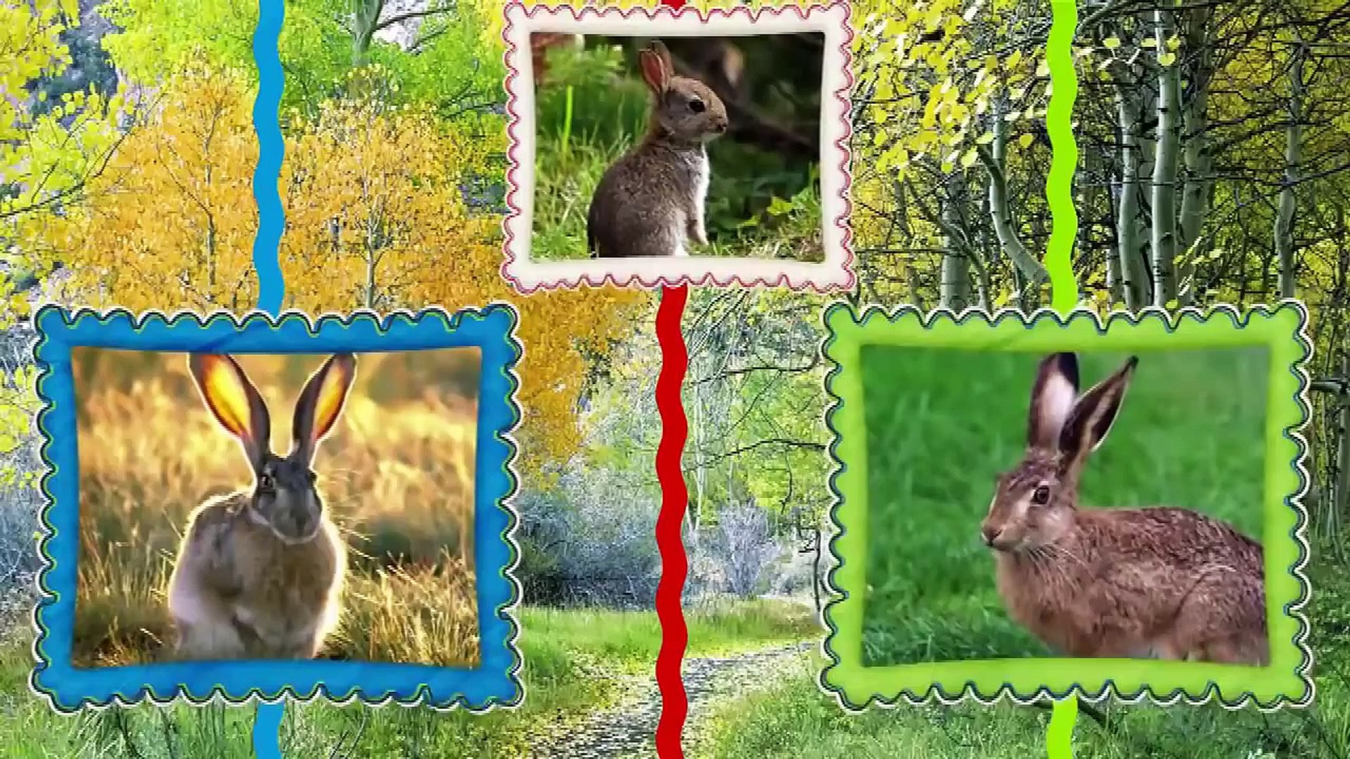 ⁣Животные и их детки. ПРОФЕССОР_КАРАПУЗ