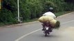 carrying bushes on bike
