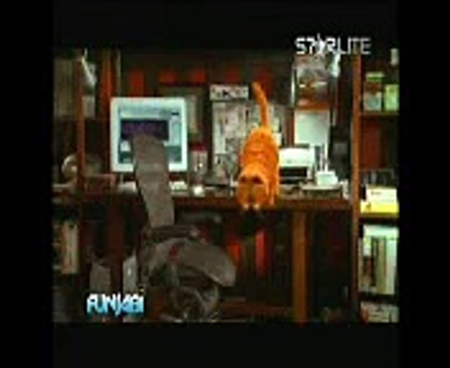 mouse an cat very funny