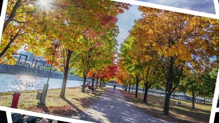 Courrier Expat à l’assaut du monde