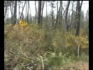 Présentation de l'équipe KGB 🕵️‍♂️