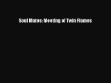 Download Soul Mates: Meeting of Twin Flames  EBook