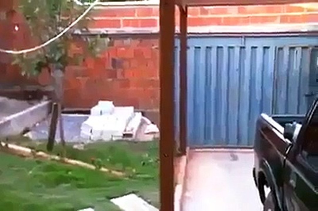 dog attack on man