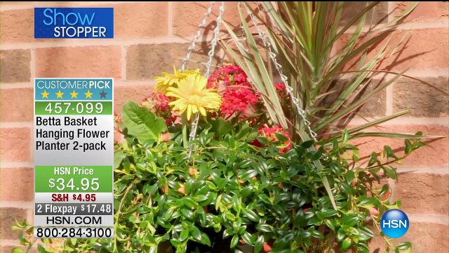 Betta Basket Hanging Flower Planter 2pack