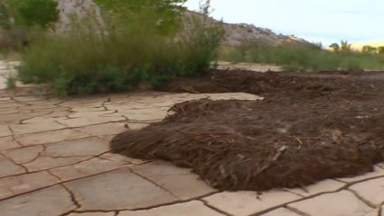 Des débris coule dans le lit d'une rivière sèche !