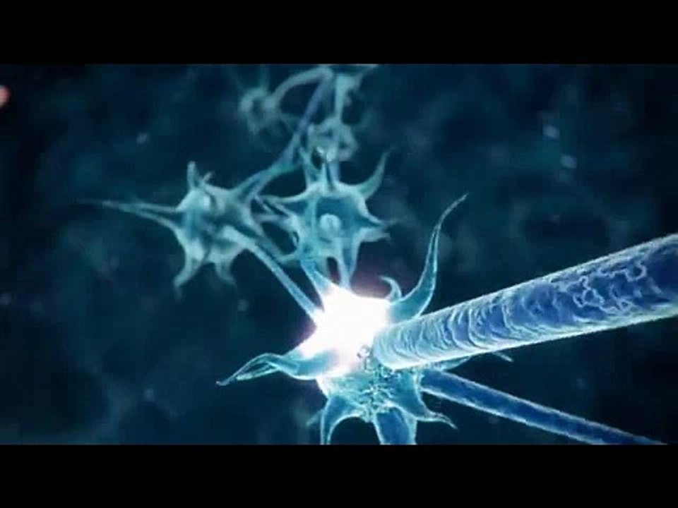 bHIP Discover your potential (from bHIP Cambodia) by Uy Sapich (អ៊ុយ សារពេជ្រ)