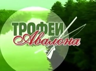 Соревнования по ловле сазана